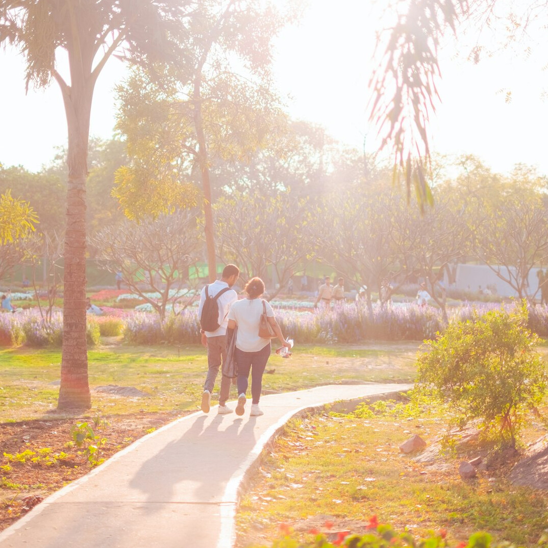 seniors walking in park